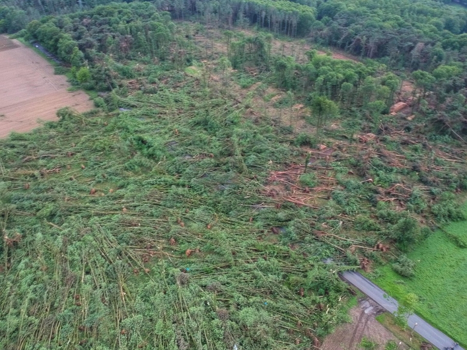 Торнадо в Германии "положил" лес и сорвал крыши 13