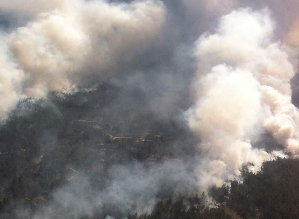 На Херсонщине пожар охватил 100 гектаров леса 1
