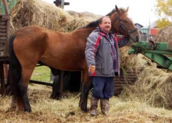 Российский депутат потребовал на парковке место для своего коня