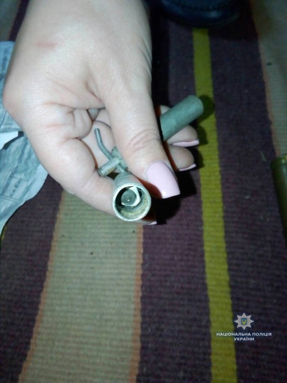 На Николаевщине у участника АТО нашли и арсенал оружия и взрывчатки, и наркотики 3