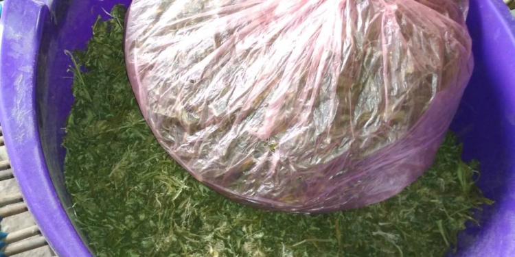 1,5 кг конопли на 60 тыс.грн. изъяли у жителя Николаевской области