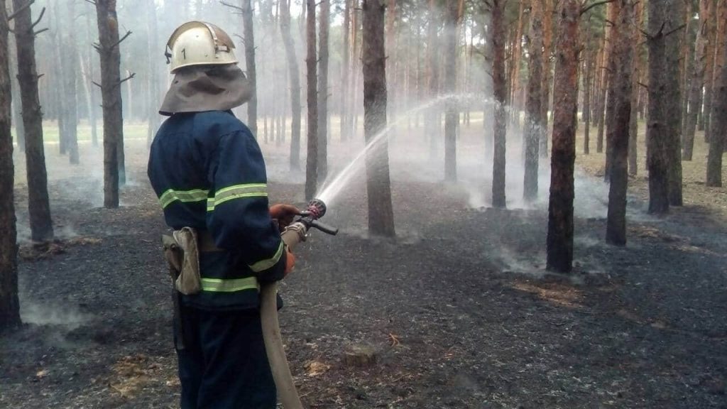 Снова под Николаевом горел Матвеевский лес. Николаевские спасатели подозревают поджог 3