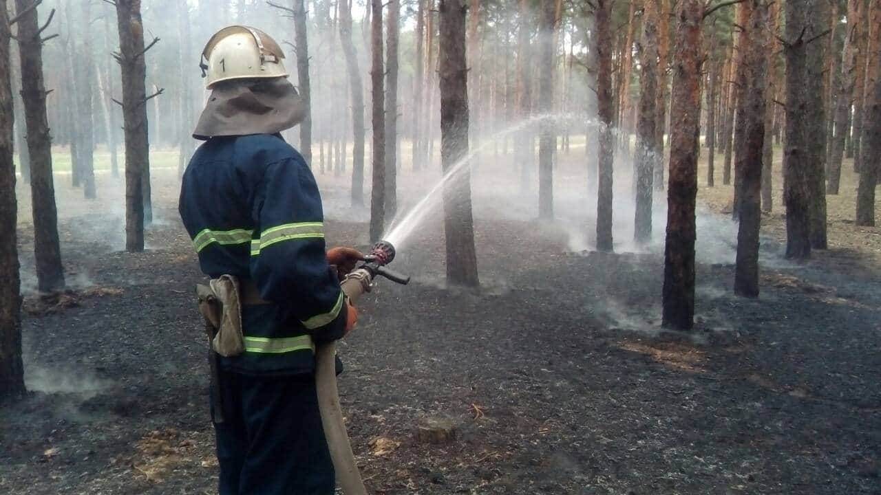 Снова под Николаевом горел Матвеевский лес. Николаевские спасатели подозревают поджог