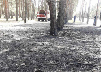 Жаль, на деревьях камер на наставишь: под Николаевом снова кто-то поджег Матвеевский лес
