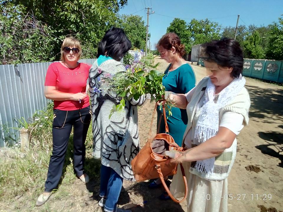 В селе Счастливое на Николаевщине прошел опрос относительно строительства солнечной электростанции – большинство против 2