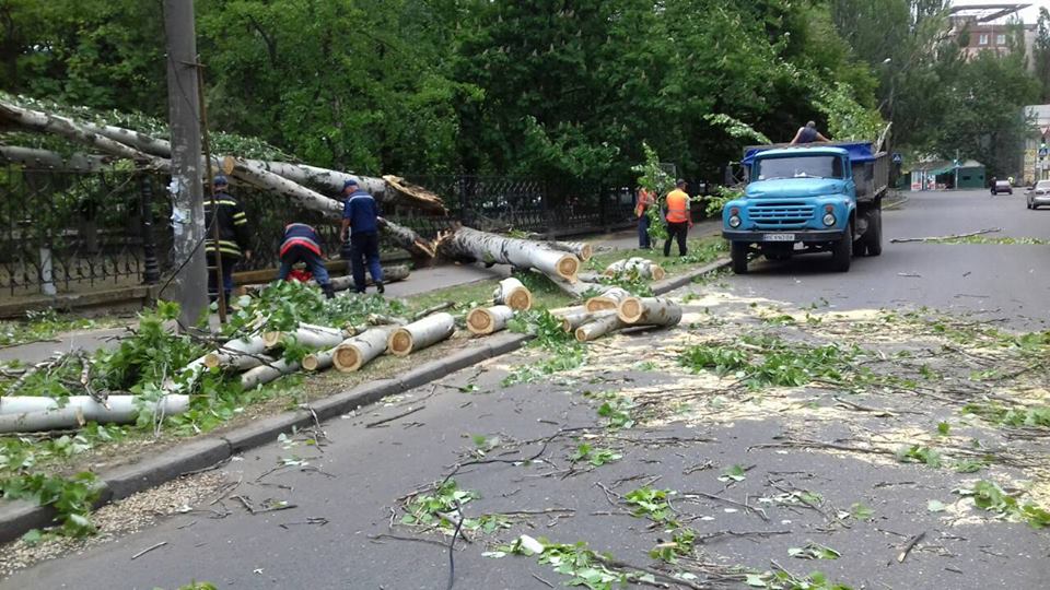 В Ингульском районе Николаева дерево рухнуло на проезжую часть 5