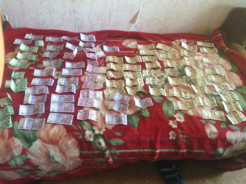 На Николаевщине прекращена деятельность ОПГ, которая изготавливала и торговала наркотиками 3