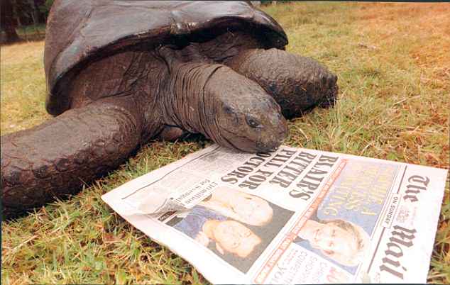 Старейшему наземному животному мира – 186-летней черепахе Джонатану – не будут удалять катаракту 3