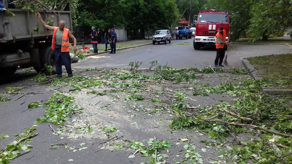 В Ингульском районе Николаева дерево рухнуло на проезжую часть 7