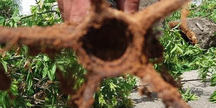 Чудеса в решете: в Николаеве в снесенном аварийном дереве обнаружили мину времен прошлых войн