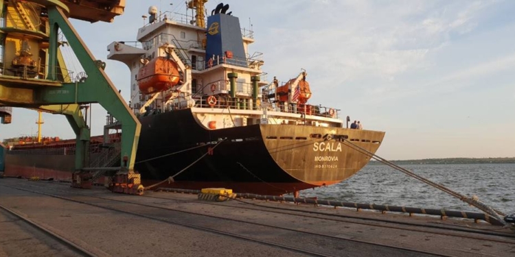 Николаевские таможенники на пришедшем из Италии теплоходе нашли наркотики