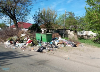 Николаевцы просят убрать стихийную свалку в Заводском районе