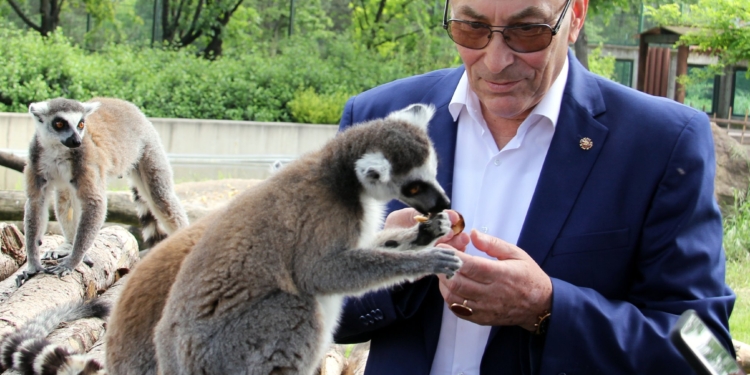 Директор Николаевского зоопарка рассказал, чем его удивили коллеги из турецкого города Бурса