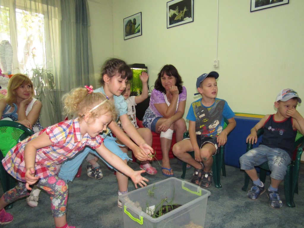 Николаевский зоопарк показал, как проходят сеансы детской зоотерапии 5