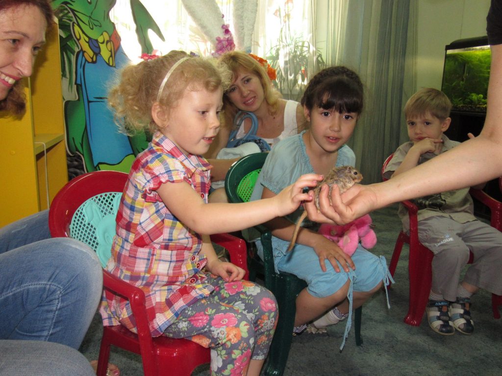 Николаевский зоопарк показал, как проходят сеансы детской зоотерапии 1