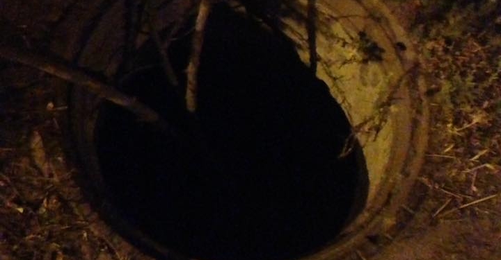 «Религия не позволяет?» – николаевцы теряются в догадках: что мешает решить проблему открытых люков на Варваровском мосту