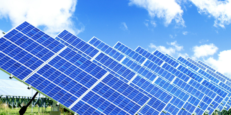 На Николаевщине селяне протестовали против установки солнечных батарей на пастбищах