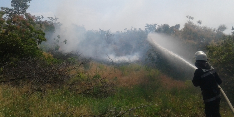 За сутки спасатели Николаевщины шесть раз тушили пожары сухой травы