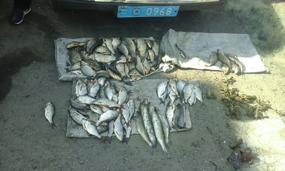 Привычка браконьерить: на Николаевщине поймали очередных рыбаков, которые ранее уже привлекались к ответственности 1