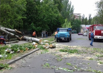 В Ингульском районе Николаева дерево рухнуло на проезжую часть
