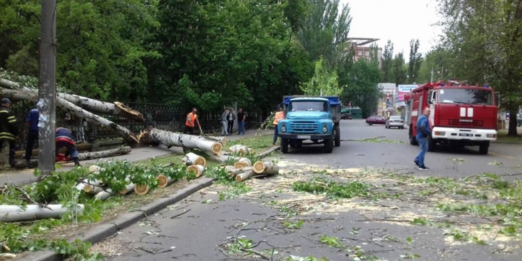 В Ингульском районе Николаева дерево рухнуло на проезжую часть