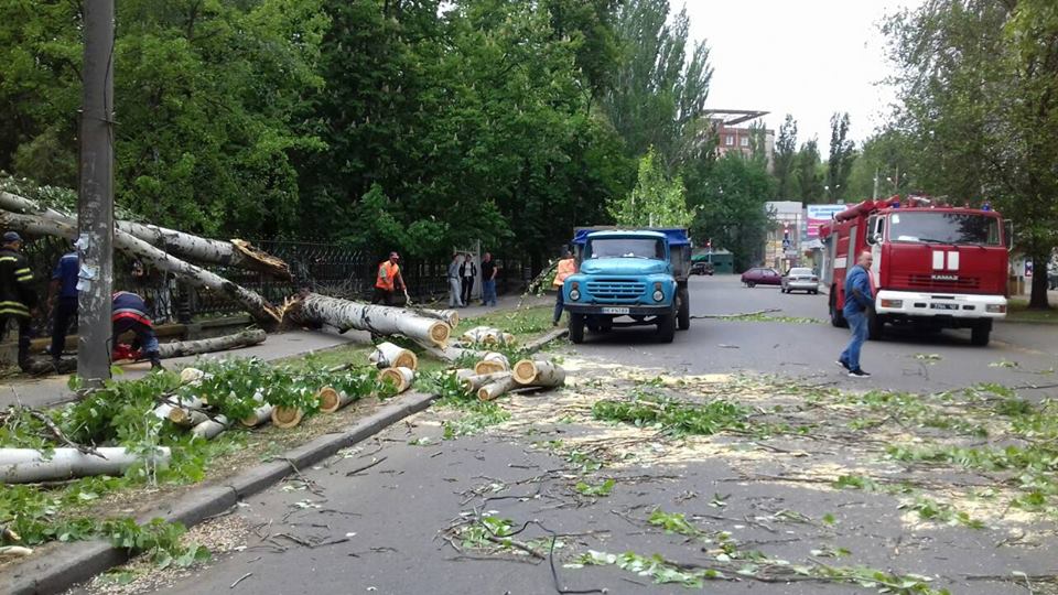 В Ингульском районе Николаева дерево рухнуло на проезжую часть 1