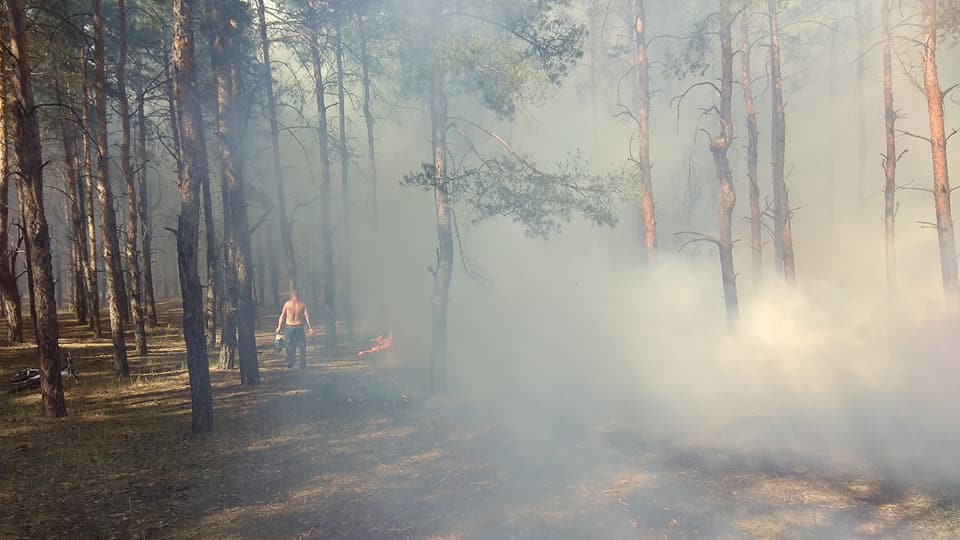 Сегодня под Николаевом горел Матвеевский лес 9