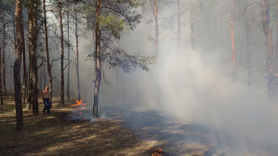 Сегодня под Николаевом горел Матвеевский лес 11