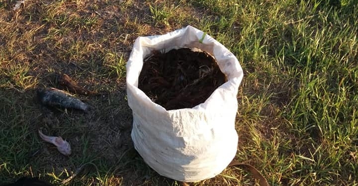 Николаевский рыбоохранный патруль под Вознесенском поймал браконьера, наловившего почти 900 раков-малышей