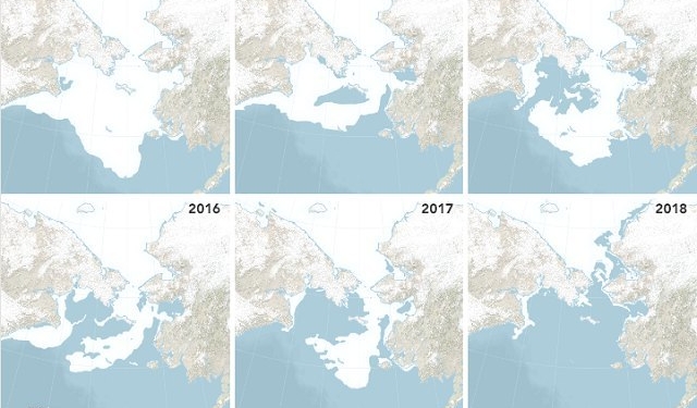 Берингово море осталось безо льда