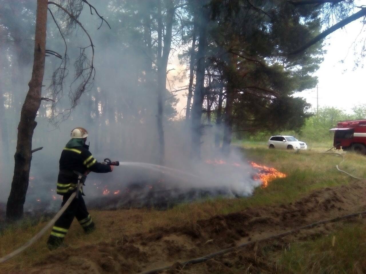На Николаевщине опять горела хвойная подстилка
