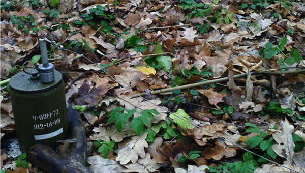 В Донецкой области мужчина подорвался под собственным домом