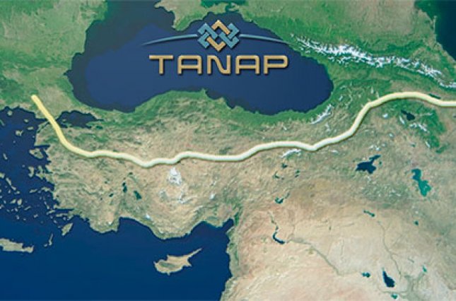 В Анкаре сообщили дату запуска газопровода в обход РФ 1