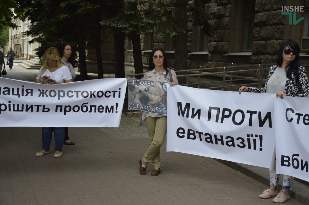 «Они в клетках закрыты и ждут смерти!»: в Николаеве горожане вышли на пикет против эвтаназии бездомных собак 3
