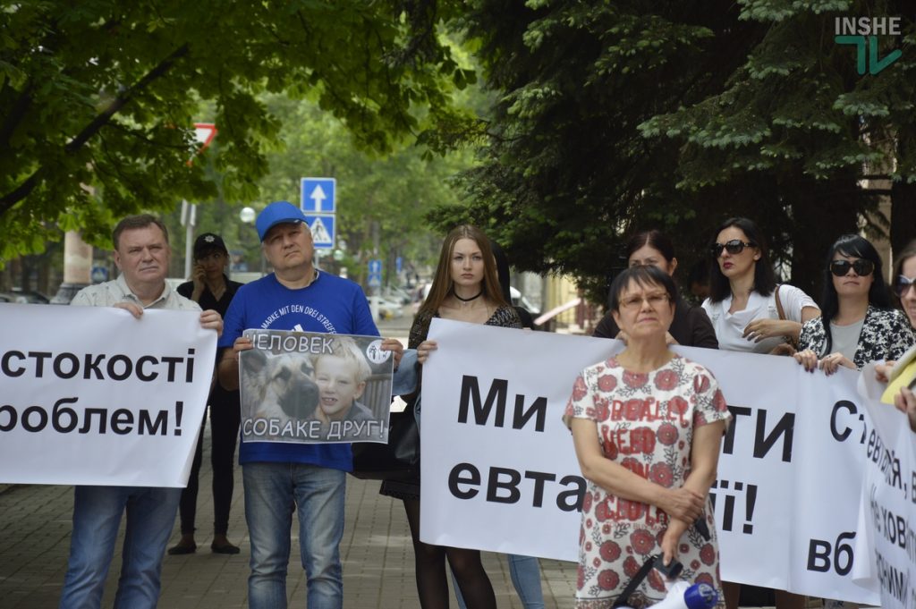 «Они в клетках закрыты и ждут смерти!»: в Николаеве горожане вышли на пикет против эвтаназии бездомных собак 17