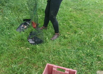 На Николаевщине поймали водолаза-браконьера