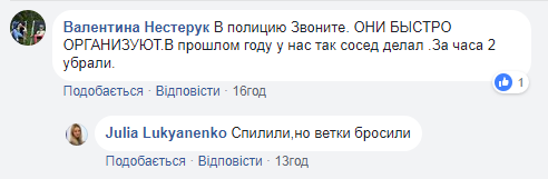 «Но мы же живем в Николаеве». Городские службы, несмотря на предупреждение, несколько дней не убирали опасно повисшую ветку 2