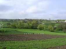 Апелляционный суд поддержал решение о возврате государству земель на Николаевщине стоимостью 1,1 миллиона