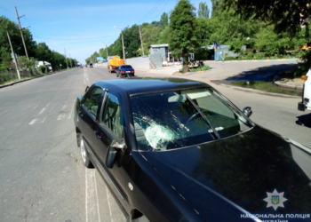 В Николаеве автомобиль Chery на переходе сбил женщину с девочкой