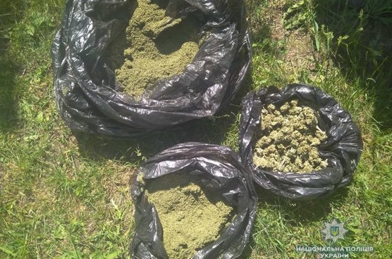 “Исключительно для собственного употребления”: в Вознесенске у мужчины изъяли килограмм конопли