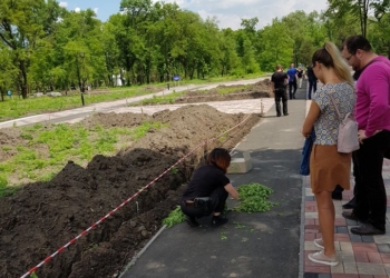 В Кривом Роге плантации конопли обнаружили на клумбе в городском  парке