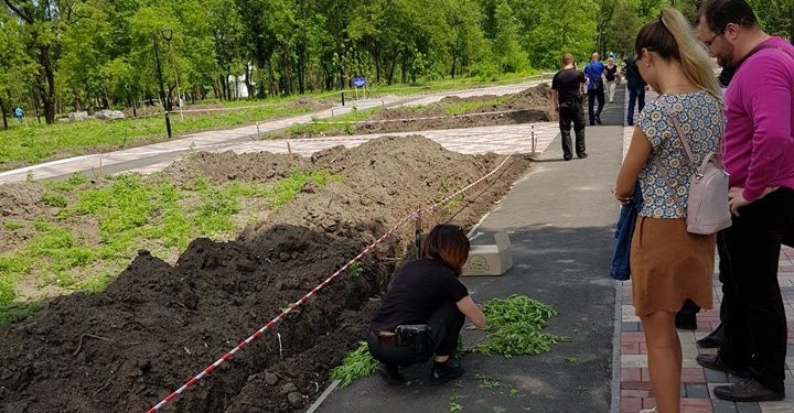 В Кривом Роге плантации конопли обнаружили на клумбе в городском  парке