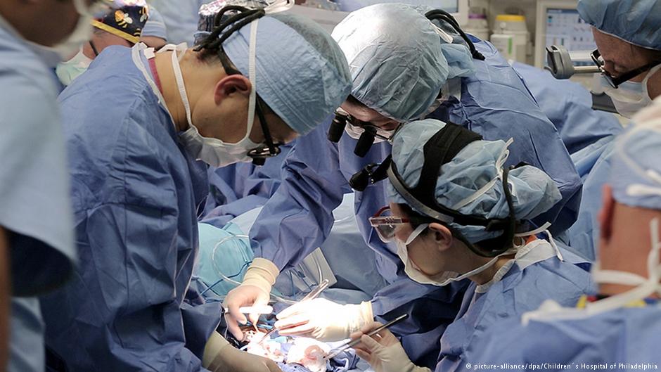 Одновременно спасли три жизни: в Украине провели операции по трансплантации печени и двух почек 1