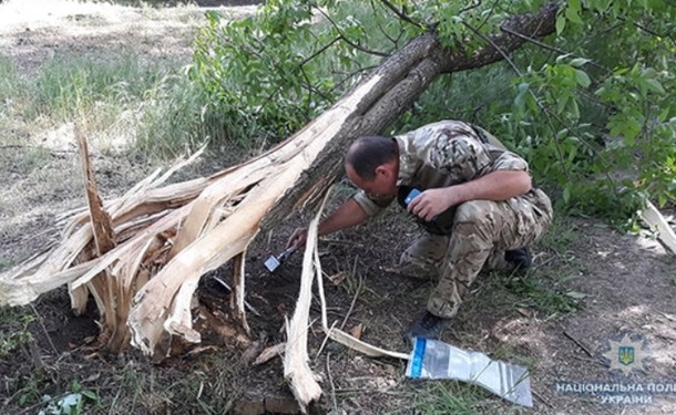 В Мелитополе школьники на перемене устроили взрыв в парке