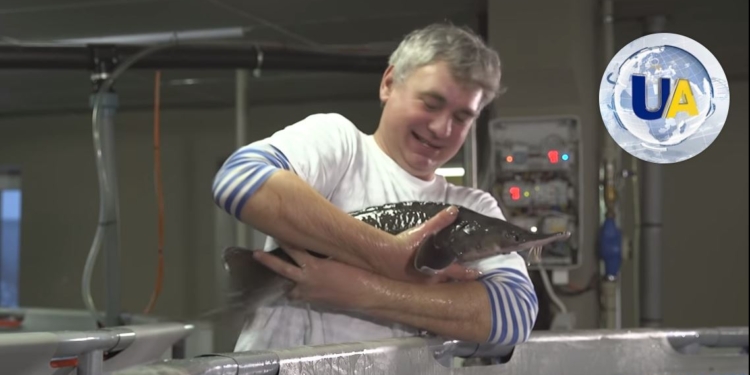 Хотите разводить осетров? Посмотрите, как это делает украинский фермер на старой коровьей ферме