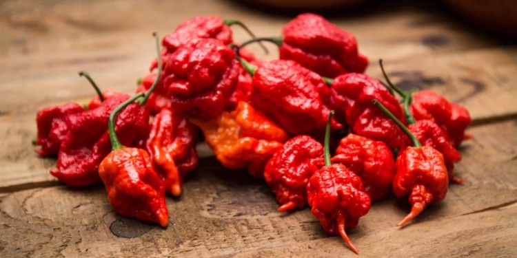 По-настоящему острый перец затрудняет кровообращение мозга