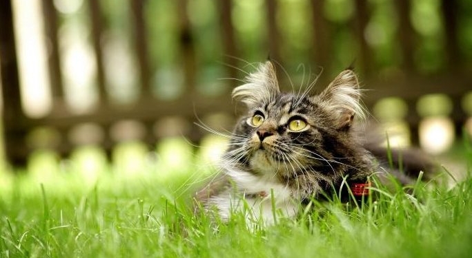 Завтра в Украине без осадков, температура до +30