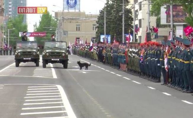 Конфуз в «ДНР»: на параде «министр обороны» отдал честь собаке 3
