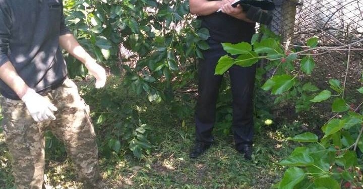 На Николаевщине бешеный волк резал собак посреди райцентра, когда бросился на человека его остановили полицейский и местный охотник