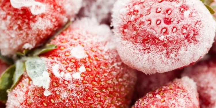 Растет конкурент на глобальном рынке. Польские переработчики уже жалуются на украинскую ягоду